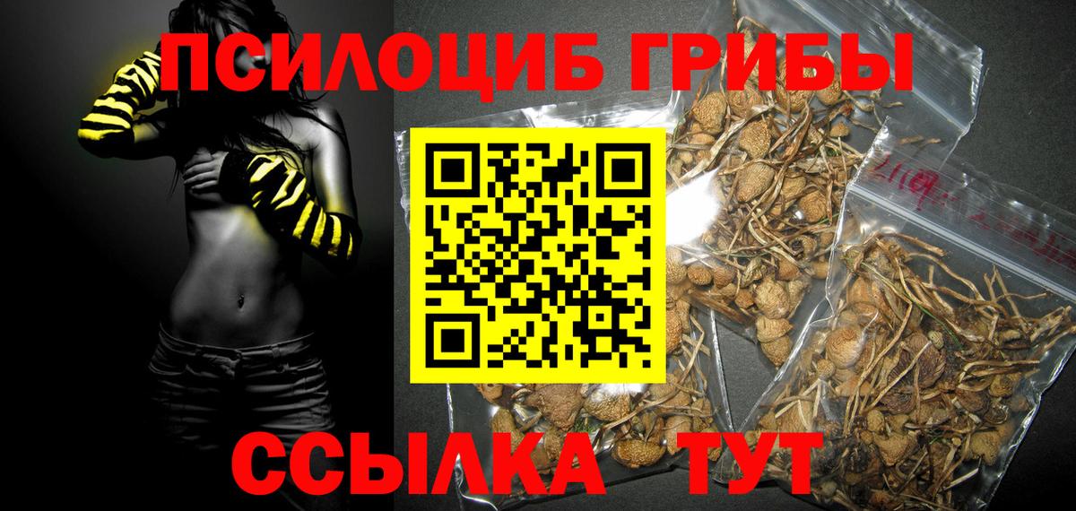 Сибай  Псилоцибиновые грибы MAGIC MUSHROOMS  Вход с VPN 